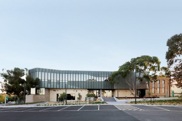 stevevidovic_IvanhoeLibrary01